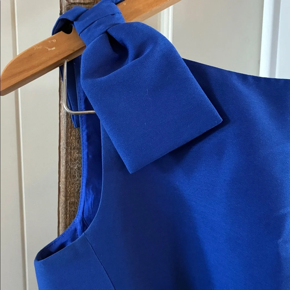 Kate Spade Royal Blue Mini Dress - Picture 3 of 6